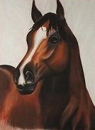 ahorse.jpg